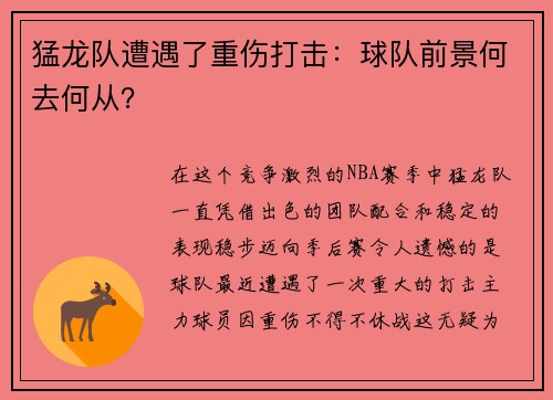 猛龙队遭遇了重伤打击：球队前景何去何从？