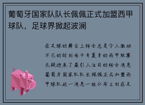 葡萄牙国家队队长佩佩正式加盟西甲球队，足球界掀起波澜